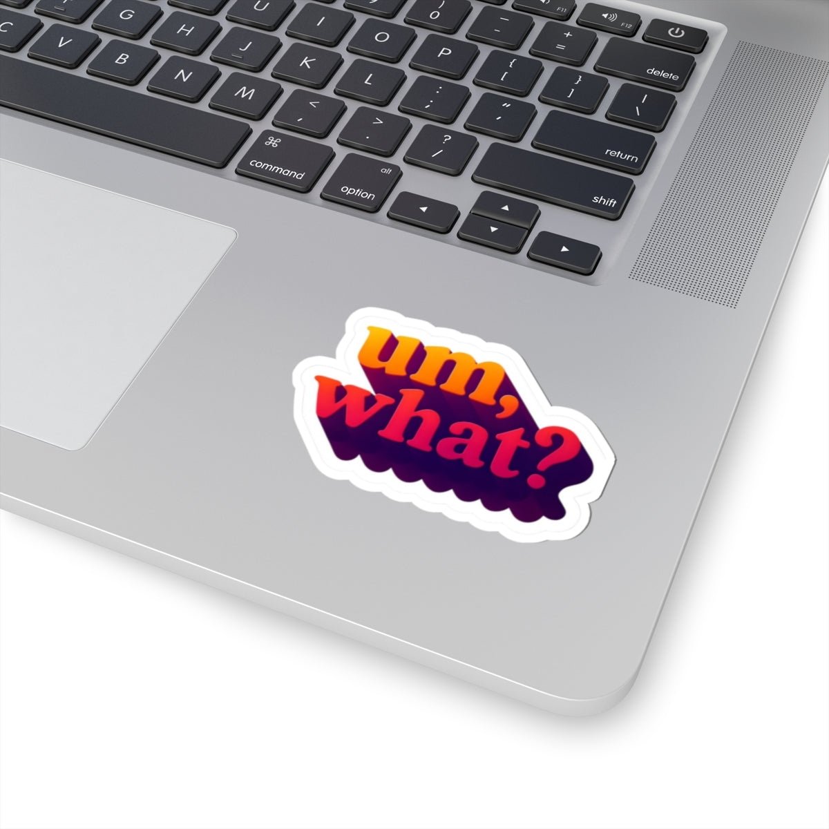 Um, What? Sticker - Unfiltered Goods